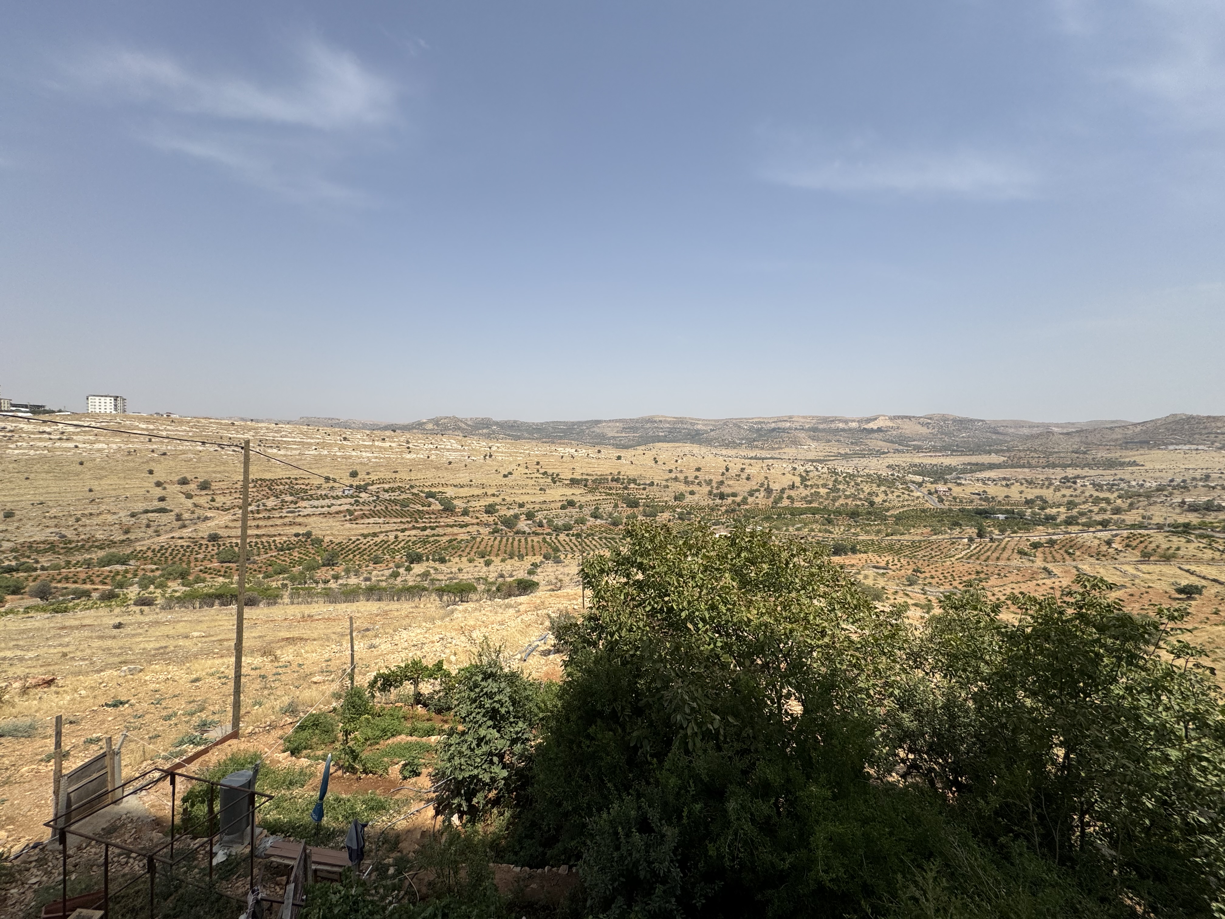IMG_6970.jpeg