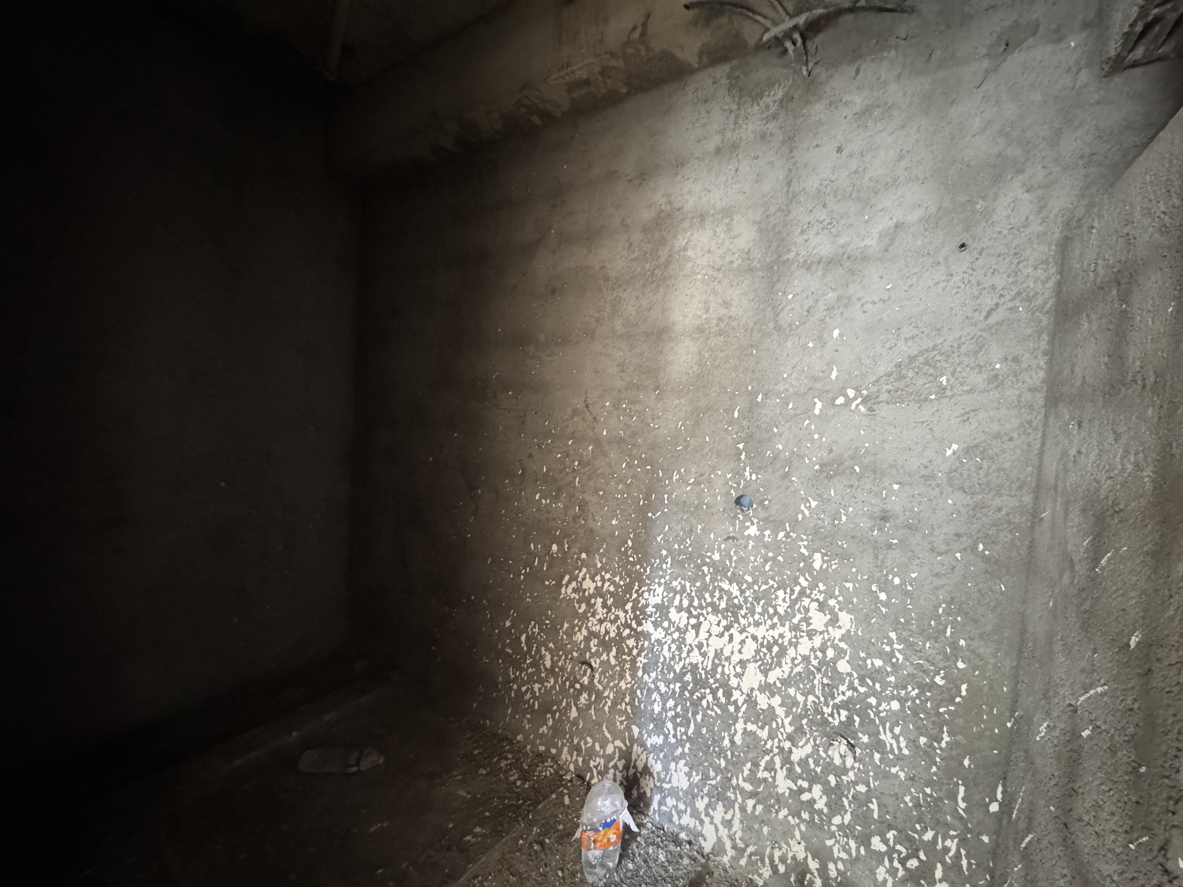 IMG_6681.jpeg